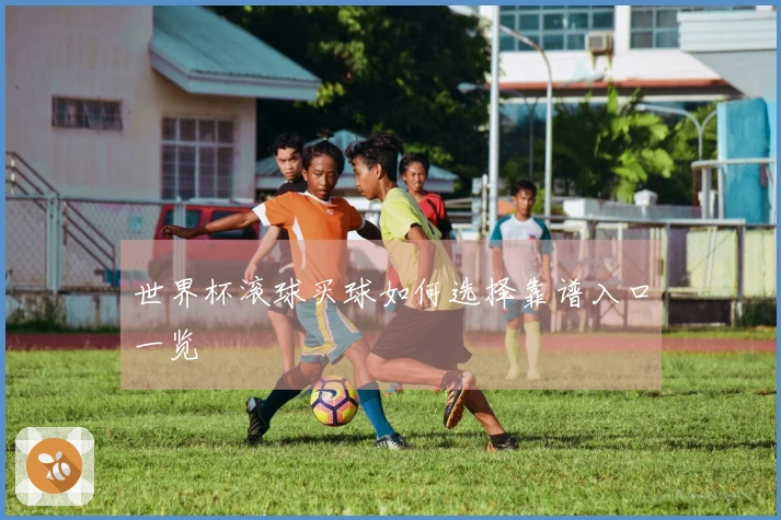 世界杯滚球买球如何选择靠谱入口一览