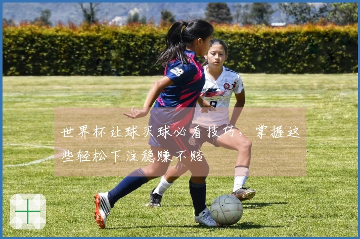 世界杯让球买球必看技巧，掌握这些轻松下注稳赚不赔