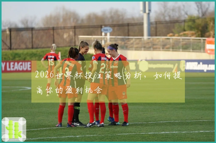 2026世界杯投注策略分析，如何提高你的盈利机会