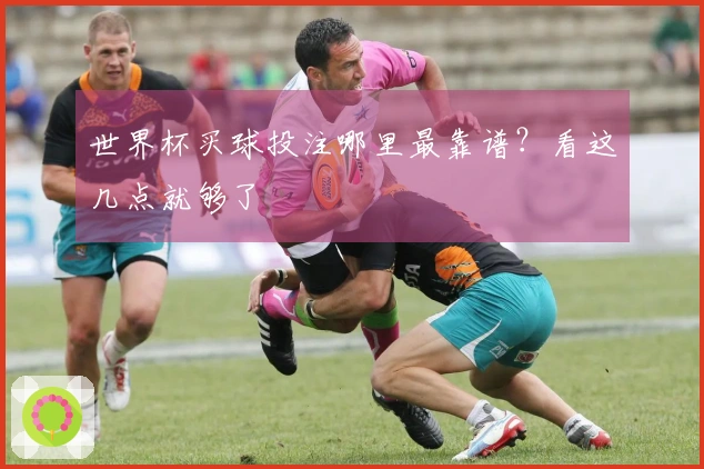 世界杯买球投注哪里最靠谱？看这几点就够了