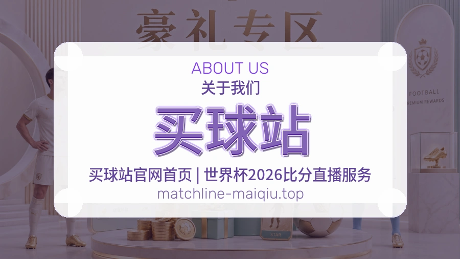 关于 买球站 团队与服务